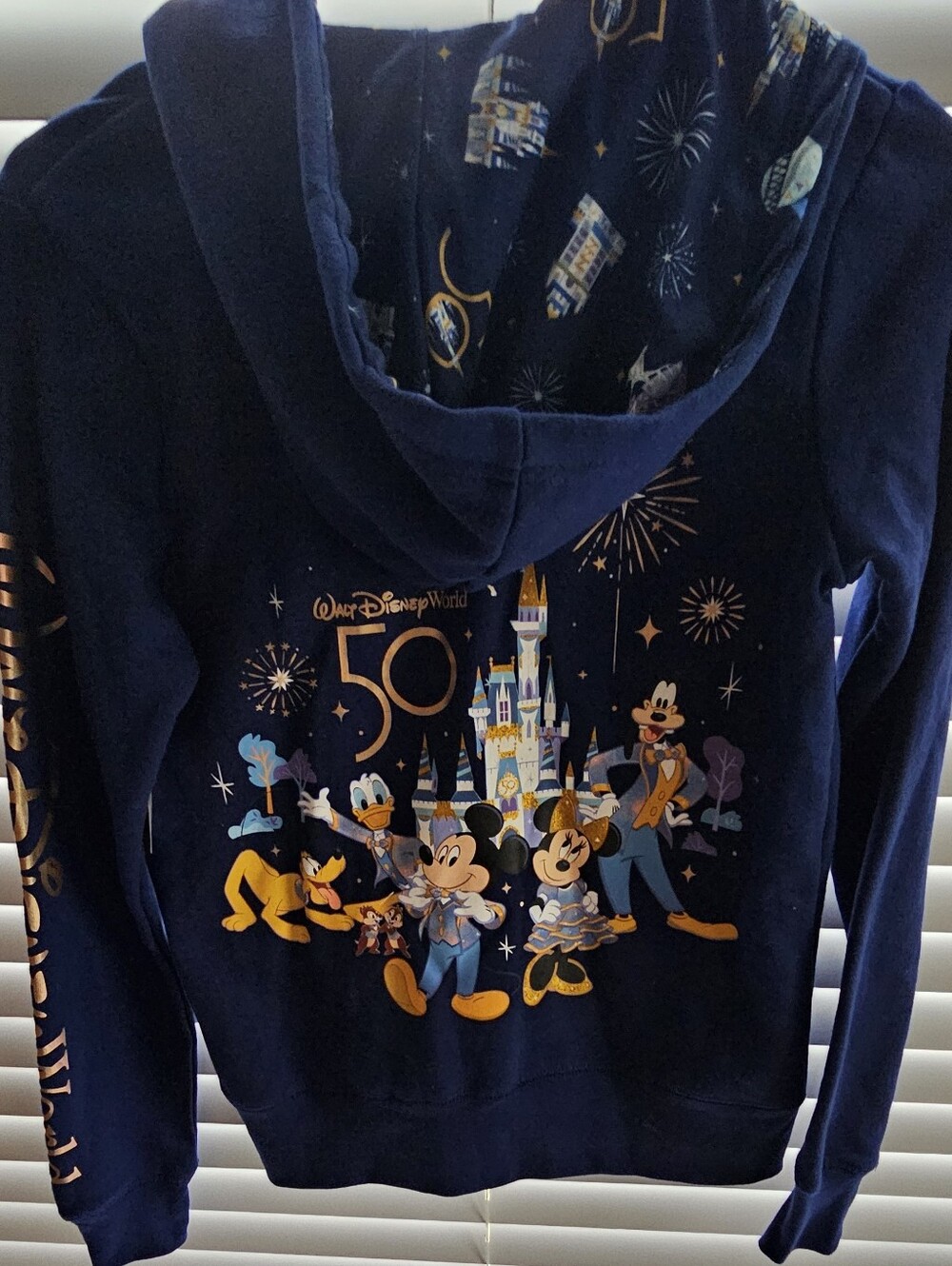 Disney Navy 50th Anniversary Character Hoodie